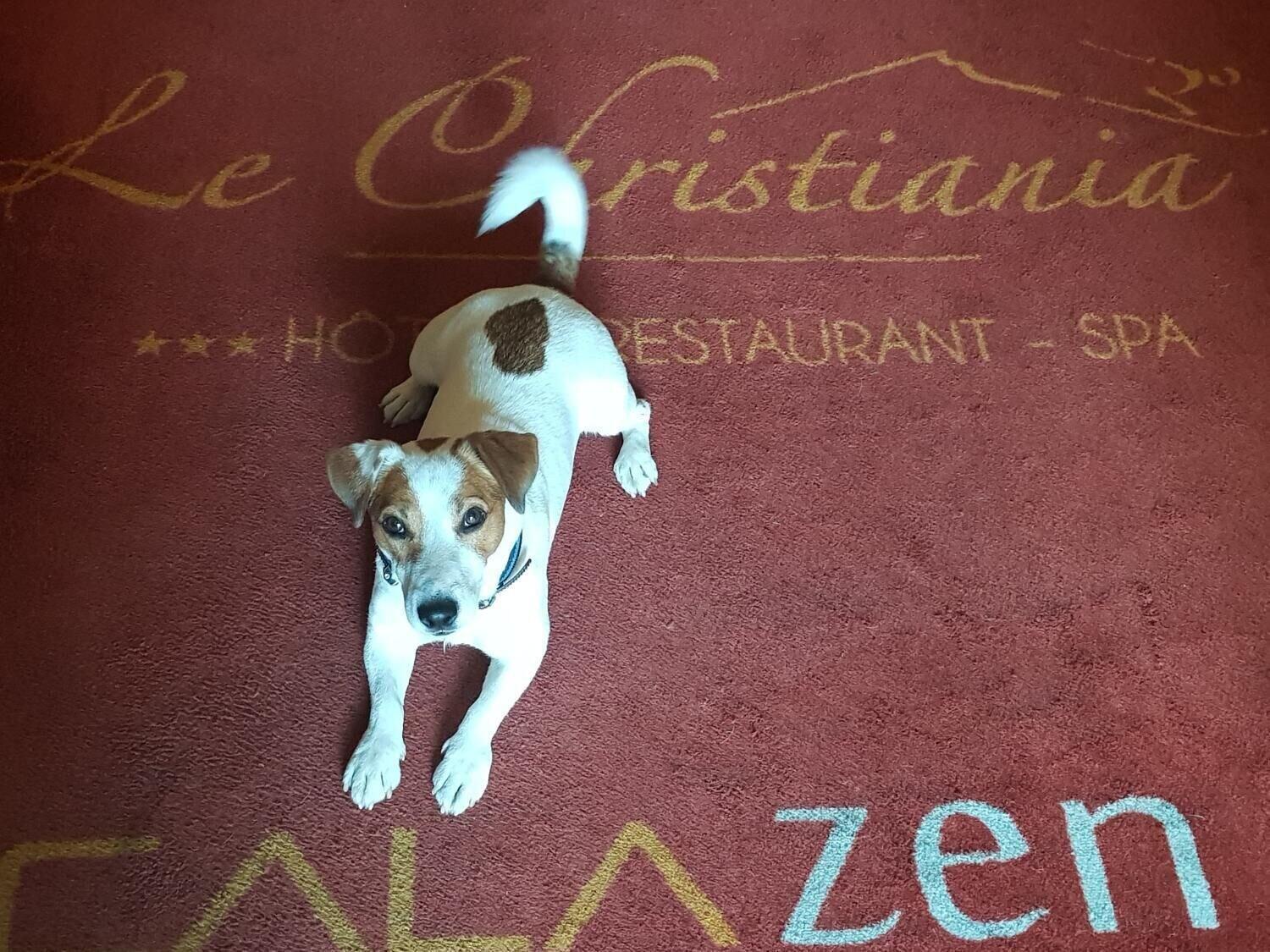 Hotel Logis Hotel Et Spa Le Christiania La Salle-les-Alpes
